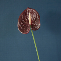 Nouveau produit plantes artificielles Latex vraie touche Anthurium branche unique fleurs artificielles en vrac mariage décoration de la maison