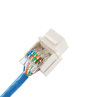 Connecteur Réseau Femelle RJ45 Keystone Jack 8P8C sans Outil à 90 Degrés AMP CAT6 UTP, Fourniture d'Usine
