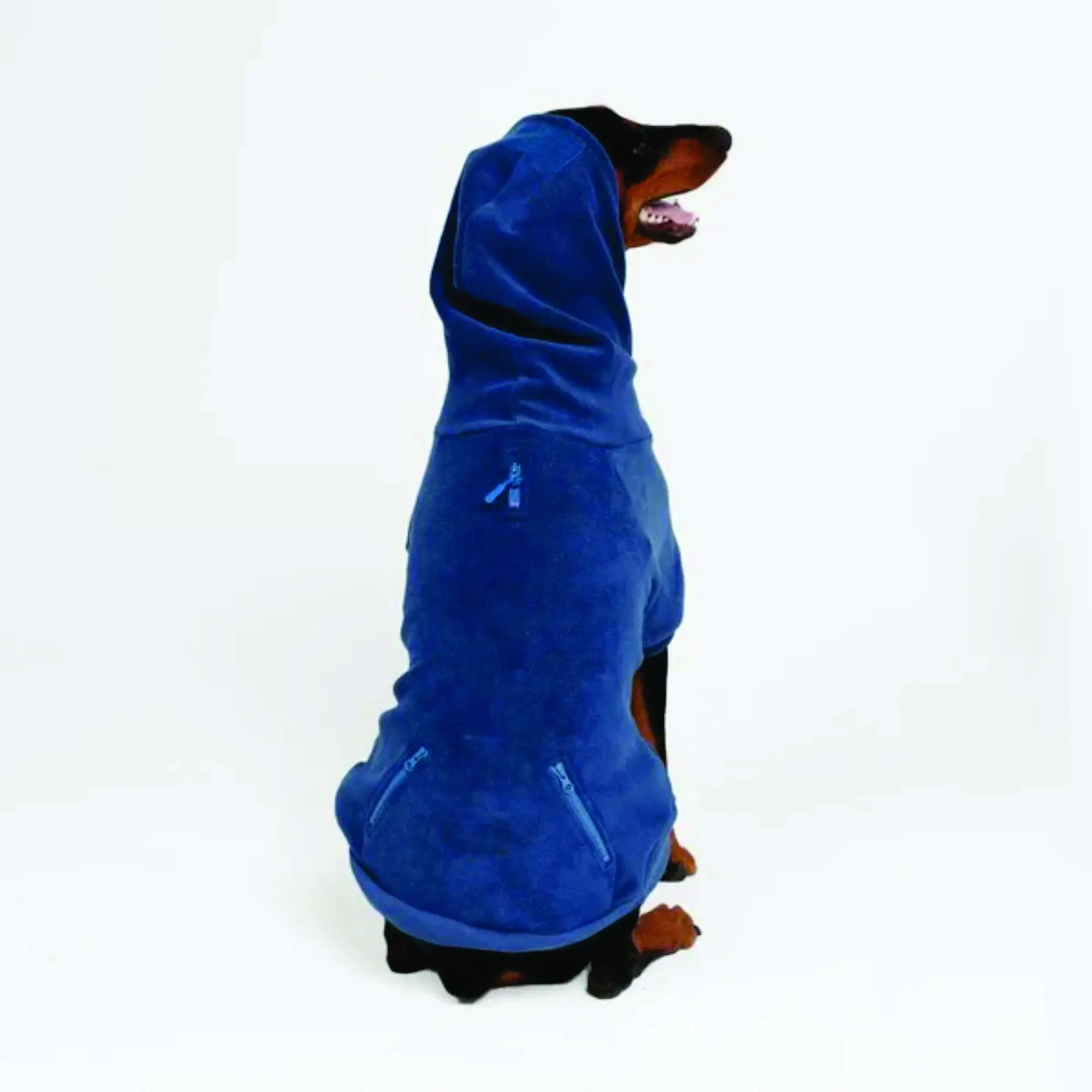 OEM कस्टम निर्माता थोक सस्ते बहुरंगा नरम ऊन गर्म पालतू कस्टम हुडी खाली कुत्ते के कपड़े बिक्री के लिए