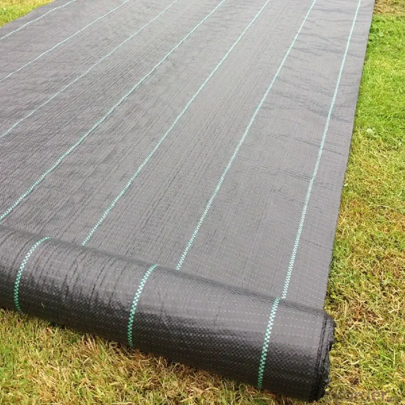 Waterproof pp polyester woven nonwoven needle punched geotextile harga long fabric membrane price