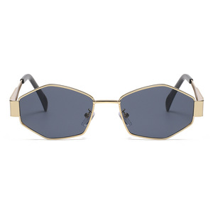 Venta caliente nuevas gafas de sol poligonales para hombres mujeres Unisex Metal moda gafas de sol UV400 lentes polarizadas tipo marco Logo lente - Product Image 4
