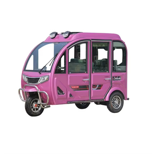Tricycle électrique de livraison à 3 roues, mini voiture de tourisme, 2 portes, 4 places, cabine fermée, 1000W, batterie au plomb-acide 60V, charge utile de 400 kg - Product Image 2