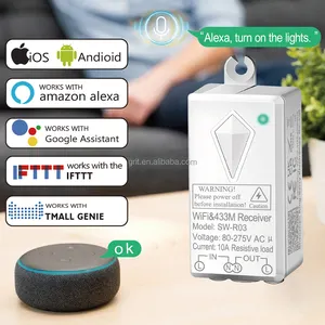 10a 3 Bende Smart Wifi Switch Afstandsbediening Smart Wandlamp Schakelaar Voice Control Werk Met Amazon Alexa Google Assistent Ifttt