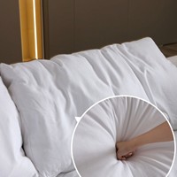 Canapé Modulable Haut de Gamme en Plumes, Grand Confort, Fauteuil de Salon en L pour le Séjour