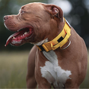 Laisse et collier pour chien de grande taille, robustes, tactiques, pour l'entraînement et la sécurité, avec boucle en métal à dégagement rapide, en nylon, vente flash - Product Image 5