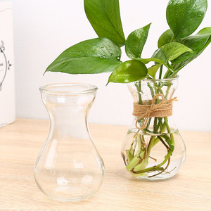 <span class=keywords><strong>Vase</strong></span> de Propagation d'<span class=keywords><strong>Avocat</strong></span> en Verre Clair Avocats Jacinthes Châtaignes Noix <span class=keywords><strong>Vase</strong></span> Bulbe <span class=keywords><strong>Vase</strong></span> en Verre Soufflé - Product Image 3