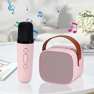 Microphone portable sans fil professionnel Uhf et haut-parleur bluetooth pour enseignants Microphones pour enfants