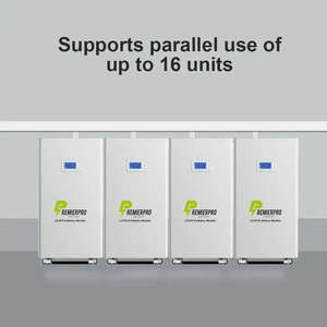 48V 15.36kWh Wall-Mounted Lithium Iron Phosphate <b>Battery</b> Pack for Home Use 51.2V 10.24kWh Home Energy Storage <b>100Ah</b> BMS - Product Image 5