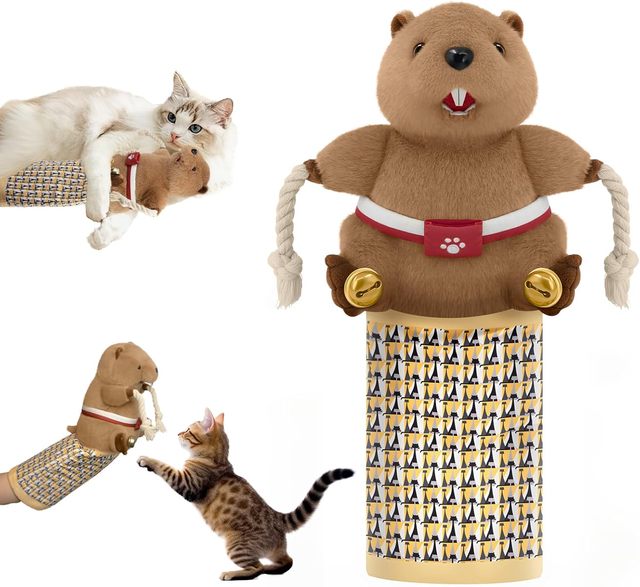 Fun Interactive Play Cat Toy Gift Durable Tough Padding Plush Stuffed Cat Wrestling Glove Toy