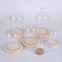 Dôme de présentation en verre transparent avec base en verre et bouchon à vis, compatible avec diffuseur à bâtonnets, impression sérigraphique, D12CM D13CM D15CM D18CM D20CM D30CM, idéal pour cadeau