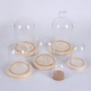 clear Glass Display Dome with <b>Cork</b> Base D10CM D12CM D13CM D15CM D18CM D20CM Bell <b>Jars</b> Glass Domes - Product Image 6