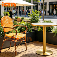 Fauteuils Confortables en Gros pour Café, Hôtel, Style Bistro Français, Chaises en Rotin pour Patio, Chaises de Salon d'Extérieur