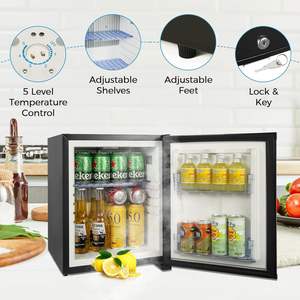 ตู้เย็นแบบพกพาขนาด 20-59 ลิตร ป้องกันน้ำแข็งเกาะ ประตูแบบกำหนดเอง เงียบไร้เสียงรบกวน สำหรับใช้ในบ้านและโรงแรม พร้อมกระจก - Product Image 6