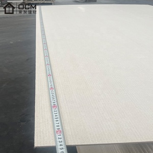 Panneau mural en magnésium de classe A1 EN13501, sans chlorure, 8 mm, anti-termite, revêtement extérieur, taille personnalisée 1200x2750 mm, usine d'exportation - Product Image 2