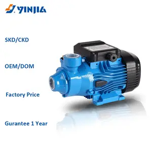YINJIA 새로운 이탈리아 디자인 펌프 제조 0.3HP 고압 전기 주변 펌프 가정용
