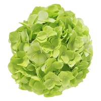 Bunga Hydrangea Sentuhan Nyata, Bunga Sutra Ultra-Realistis untuk Buket Pernikahan Mewah & Dekorasi Tengah Meja Hotel Hydrangea Hijau Apel