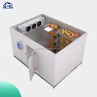 Hete Aanbieding Blast Freezer Koudecel Vriescel Commerciële Koelcel voor Detailhandel en Winkels