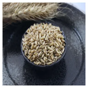 Pure Natural Green Additive-free Oat Kernels Reasonable Prices Sold Wholesale In Large Quantities