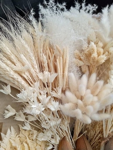 2025yearsNatural Factory Price Various Colors Decorative <strong>Flowers</strong> Natural Large Tall Big <strong>Mini</strong> Small Pampas <strong>Dried</strong> Flowbest Quality - Product Image 4