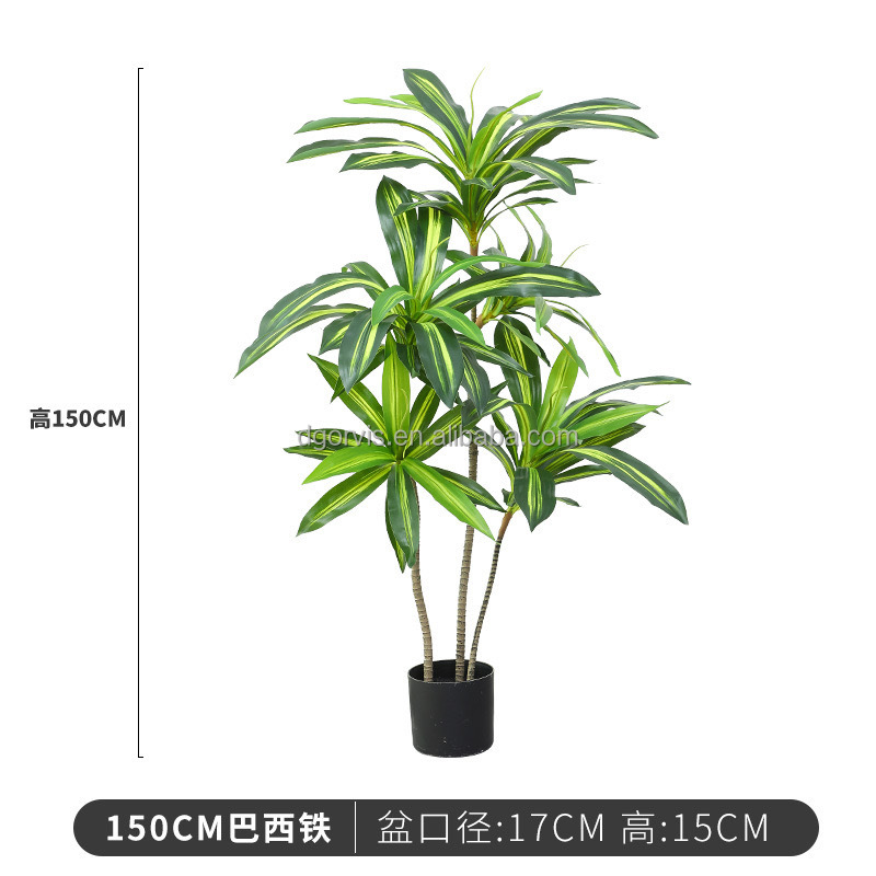 150cm