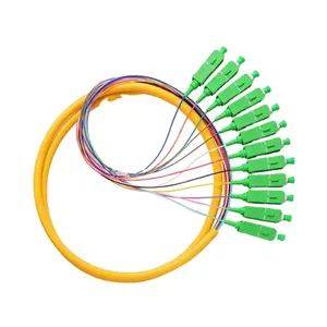 Personalizzato in fabbrica 12 colori 12 Core SC APC Single Mode 0.9mm 1310/1550nm FTTH Patch Cord Pigtail fibra ottica Bundle Pigtail