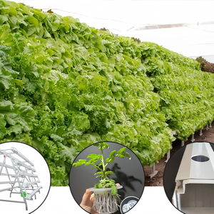 Grande serre <span class=keywords><strong>agricole</strong></span> complète avec <span class=keywords><strong>kit</strong></span> de culture hydroponique NFT et canaux <span class=keywords><strong>en</strong></span> PVC de qualité alimentaire anti-UV durables - Product Image 6