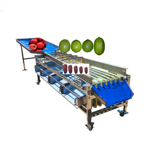 Máquina Clasificadora <span class=keywords><strong>de</strong></span> Frutas para Tomate Cherry/Ajo/Seta/Dátiles - Product Image 4