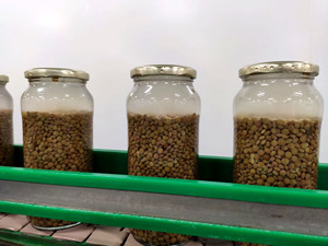 ถั่วเลนทิลไม่มี GMO ถั่วแดงถั่วฝักยาวปรุงสุกออร์แกนิกบรรจุในโถเก็บอาหาร - Product Image 3