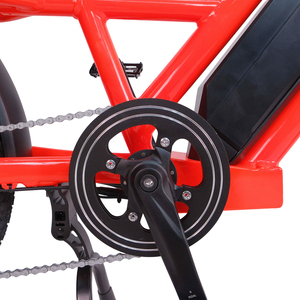 Vélo <span class=keywords><strong>cargo</strong></span> électrique 20 pouces pour adultes, homologué EEC/COC, vente en gros usine pour la livraison - Product Image 5