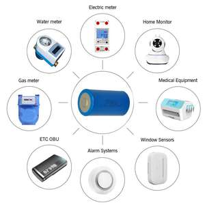 Pacco Batteria al Litio ER34615 10.8V 19Ah 3S1P da 19000mAh Non Ricaricabile con Cavi e Connettore - Product Image 6