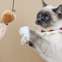 Jouet interactif pour chat avec tête de poupée en peluche mignonne, plume, clochette et pompon nœud papillon pour chatons d'intérieur
