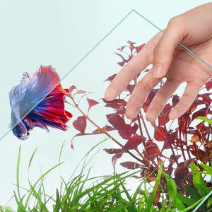 Bureau écologique eau herbe aménagement paysager ménage poisson ornemental verre Ultra-blanc petit salon souper réservoir en verre blanc - Product Image 4