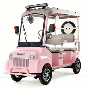 Véhicule à quatre roues pour les déplacements quotidiens en famille, les sports et les loisirs, les visites de parcs panoramiques, voiture avec toit ouvrant - Product Image 1