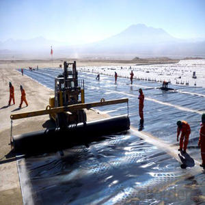 Feuille de HDPE imperméable de géomembrane de PVC et d'EVA pour l'étang à poissons et la couverture de <span class=keywords><strong>sol</strong></span> de paysage - Product Image 3