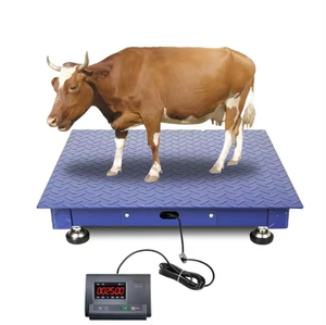 औद्योगिक ट्रक स्केल ए 12 ई 12 ई का वजन वाले पशुधन के लिए ओम अनुकूलन योग्य - Product Image 5