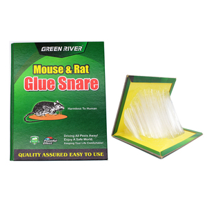 Green River Bẫy Dùng Một Lần Bẫy Keo Chuột Với Keo Trắng Bán Trực Tiếp Từ Nhà Máy - Product Image 1