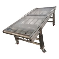 Convoyeur d'inspection optique à balayage de surface complète pour pièces céramiques, avec section d'interface et structure mobile à plateau plat