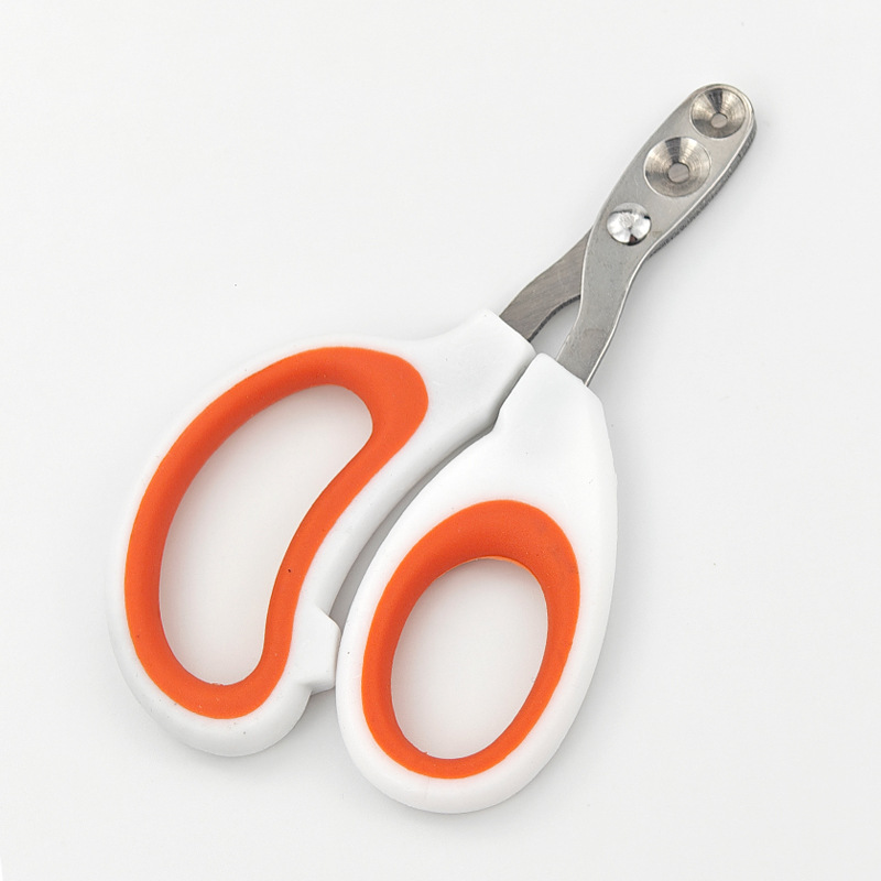 couleur orange