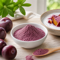 Poudre de jus de fruit séché par pulvérisation en gros, poudre de prune naturelle