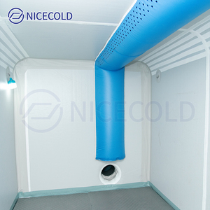 Cámara Frigorífica Móvil Inflable para Logística de Cadena de Frío, Almacenamiento Refrigerado Temporal y Aplicaciones de Distribución - Product Image 4