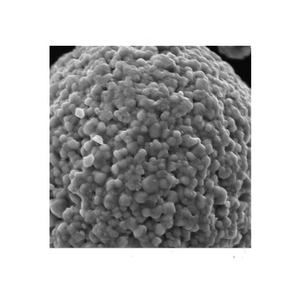 उच्च गुणवत्ता बैटरी कैथोड सामग्री NMC 523 लिथियम निकल मैंगनीज कोबाल्ट ऑक्साइड सामग्री - Product Image 3