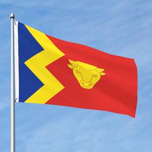 Produits promotionnels personnalisés 3*5ft100% polyester couleur vive résistant à la décoloration solide durable drapeau <span class=keywords><strong>Birmingham</strong></span> City - Product Image 2