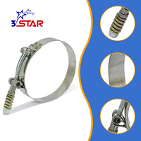 Collier de serrage européen en acier inoxydable à vis en T, largeur de bande 19 mm