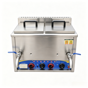 Friteuse à gaz commerciale TenFun en acier inoxydable avec panier et contrôle thermostatique pour poulet frit, frites et snack-bars - Product Image 3