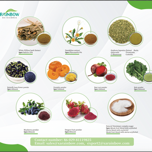 Échantillon <span class=keywords><strong>Gratuit</strong></span> <span class=keywords><strong>Rainbow</strong></span> Supply : Complément Alimentaire Biologique en Poudre AHCC, Extrait de Champignon Shiitake - Product Image 4