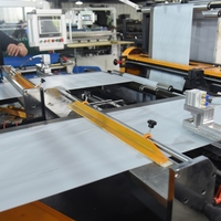 Automatische dubbelbaans zijverzegelende zakkenmaakmachine met dubbele servomotor