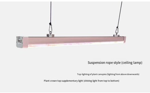 Nuovo 120W 4ft IP65 dimmerabile baldacchino coltiva luci per agricoltura Indoor blu spettro fiore interpiantando singolo Bar per ombroso - Product Image 3