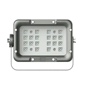 30W 50W 60W 70W new design square type IP66 WF2 Explosion proof LED floodlight light for outdoor garden lighting