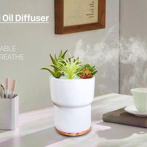 Hôtel Maison Aromathérapie Humidificateur <span class=keywords><strong>En</strong></span> <span class=keywords><strong>Pot</strong></span> <span class=keywords><strong>Plante</strong></span> <span class=keywords><strong>En</strong></span> Forme De Diffuseur D'huiles Essentielles <span class=keywords><strong>En</strong></span> Plastique Installation De Table pour Voiture Extérieure YS - Product Image 3