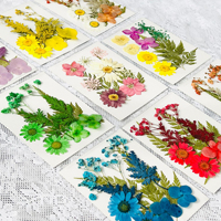 Fleurs séchées naturelles en résine pour DIY, fabrication de bijoux, scrapbooking, savons/bougies, fournitures d'artisanat
